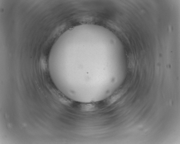 X0000070370287200606301904