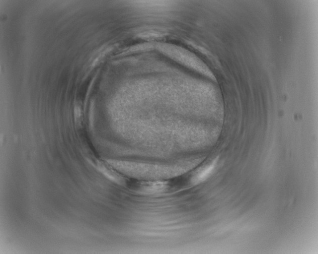 X0000070370288200606301904