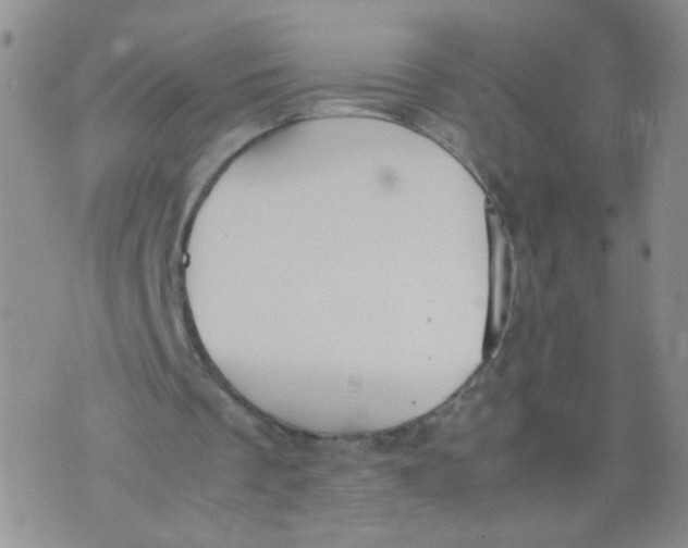 X0000070370289200606301903