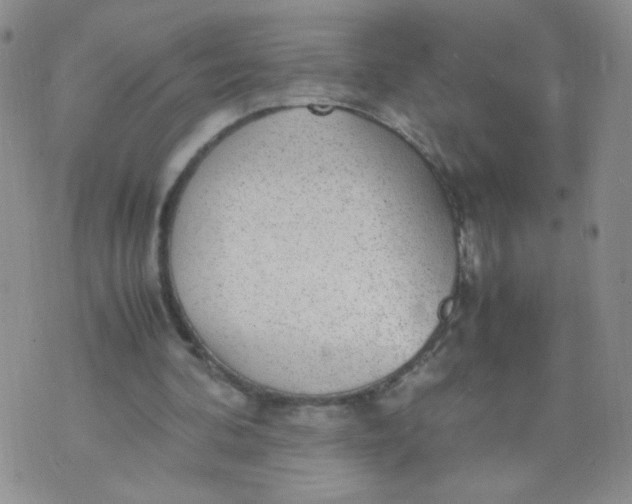 X0000070370292200606301903