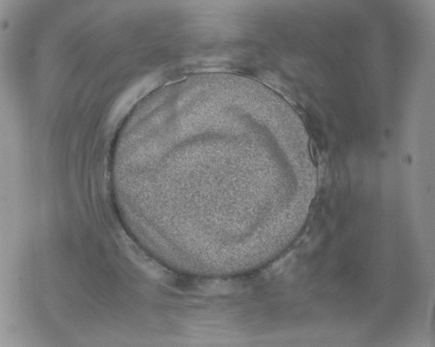 X0000070370293200606301903