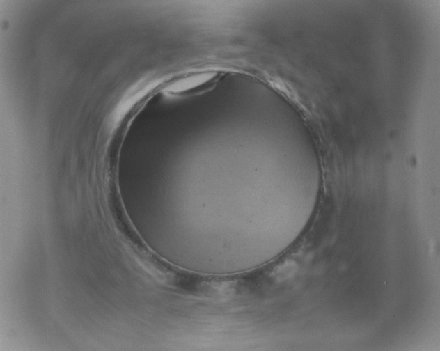 X0000070370295200606301903