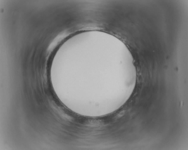 X0000070370296200606301903