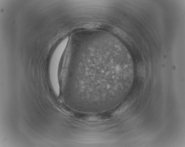 X0000070370303200606301903