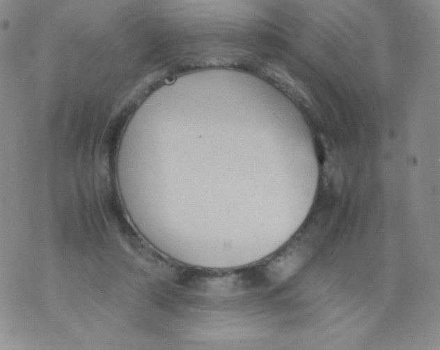 X0000070370306200606301903