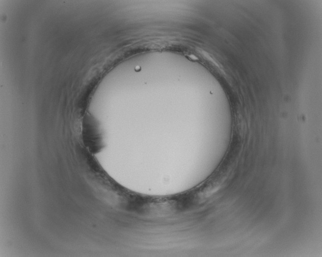 X0000070370307200606301903