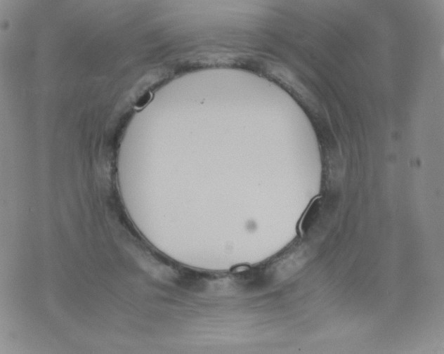 X0000070370309200606301903