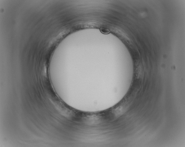 X0000070370310200606301903