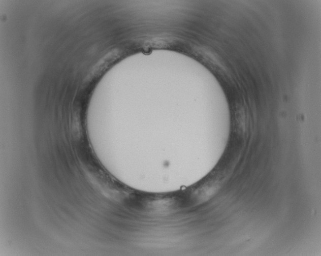 X0000070370312200606301903