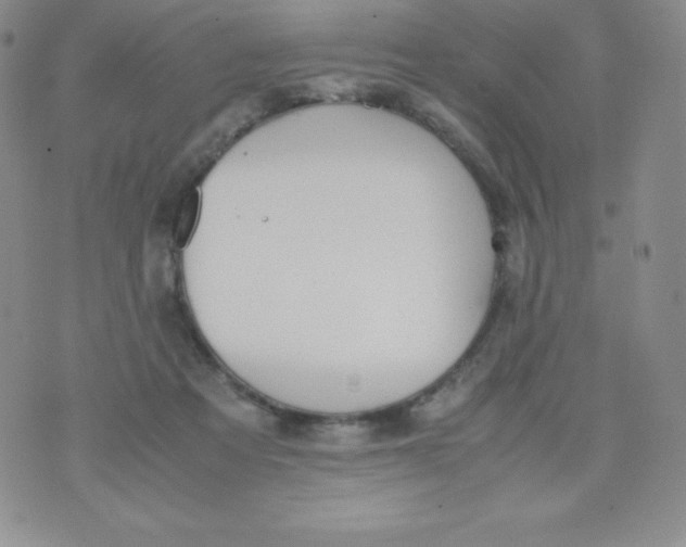 X0000070370313200606301903