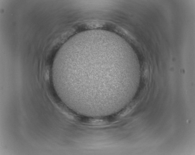 X0000070370315200606301903