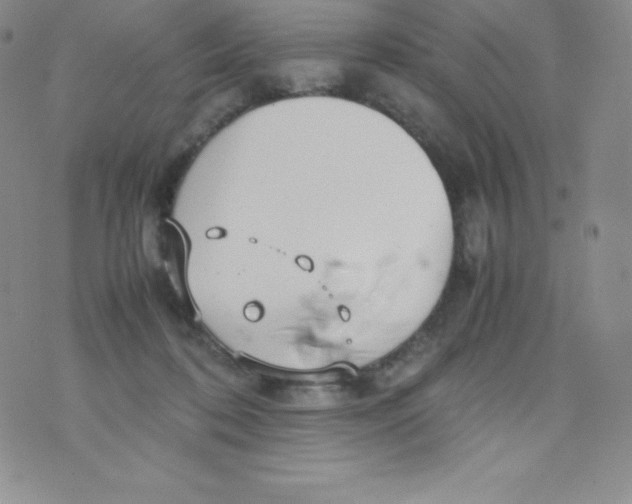 X0000070370316200606301903