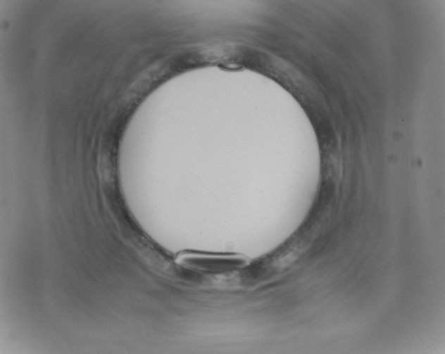 X0000070370317200606301903