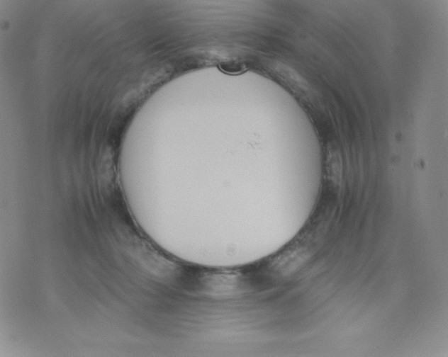 X0000070370318200606301903