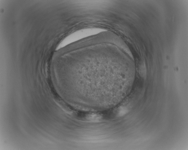 X0000070370319200606301903