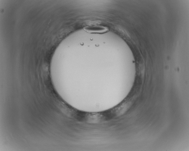 X0000070370321200606301903