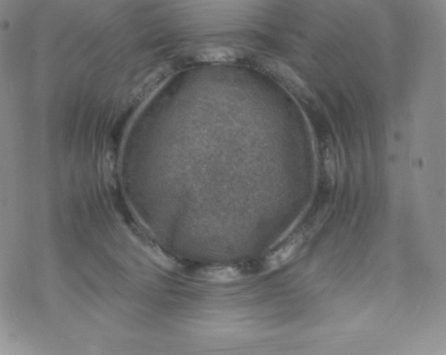 X0000070370322200606301903