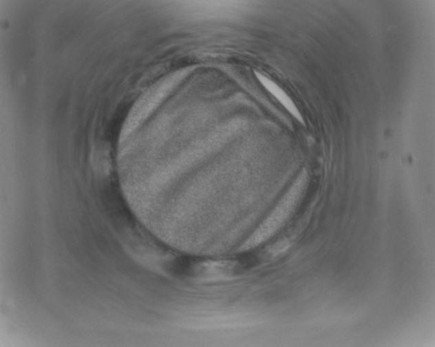 X0000070370323200606301903