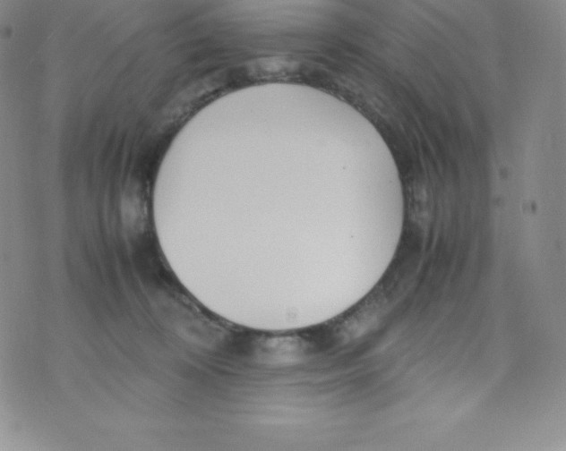 X0000070370324200606301902