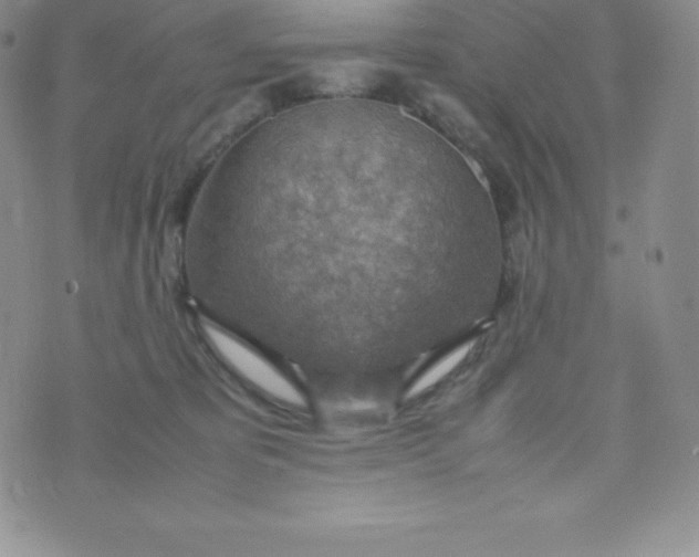 X0000070370325200606301902