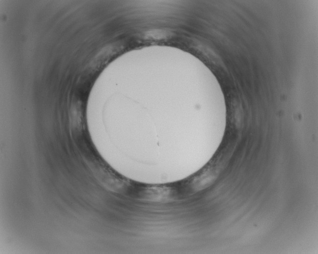 X0000070370328200606301902