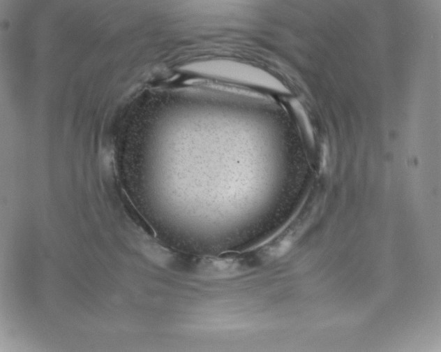 X0000070370329200606301902