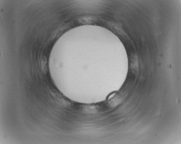 X0000070370332200606301902