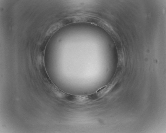 X0000070370333200606301902