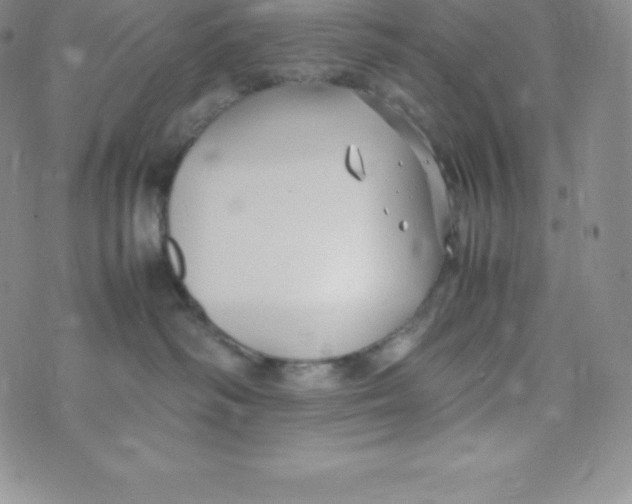 X0000070370334200606301902