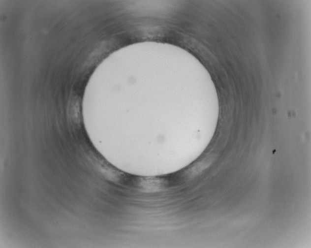 X0000070370336200606301902