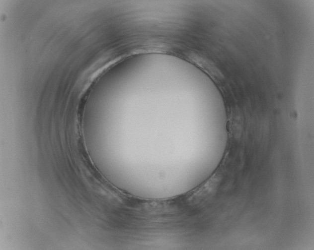 X0000070370338200606301902