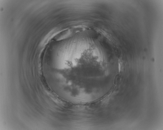 X0000070370339200606301902