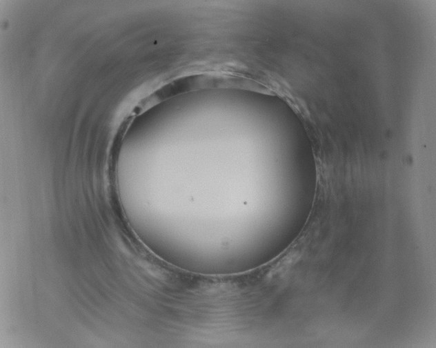 X0000070370340200606301902