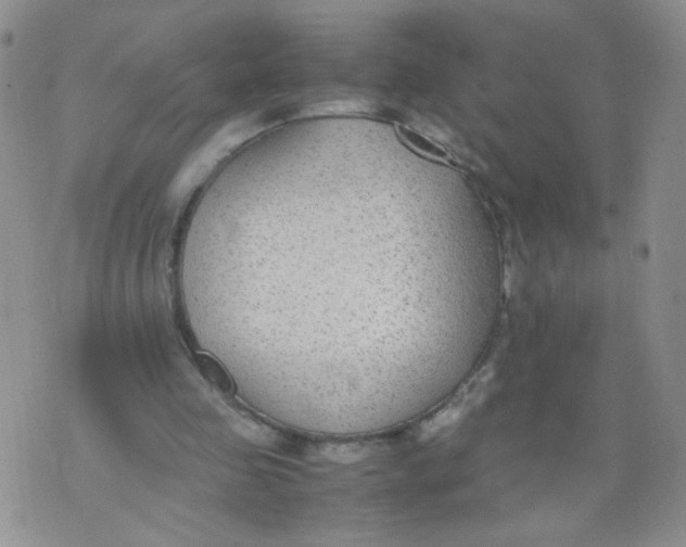 X0000070370341200606301902