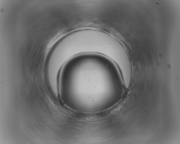 X0000070370344200606301902