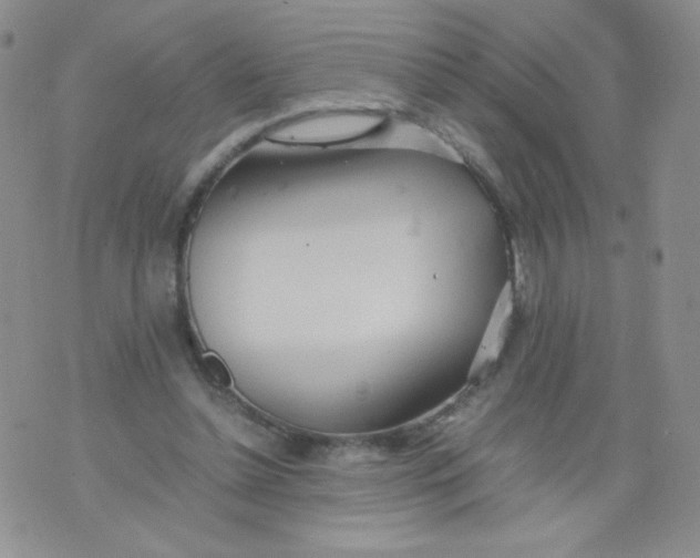 X0000070370348200606301902