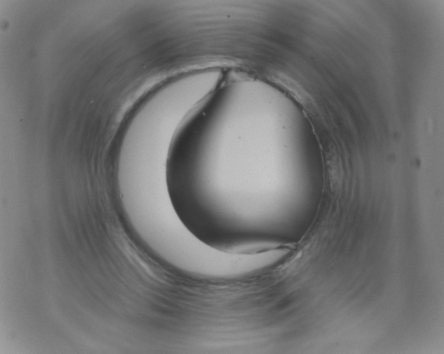 X0000070370350200606301902