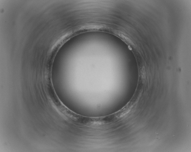 X0000070370352200606301902