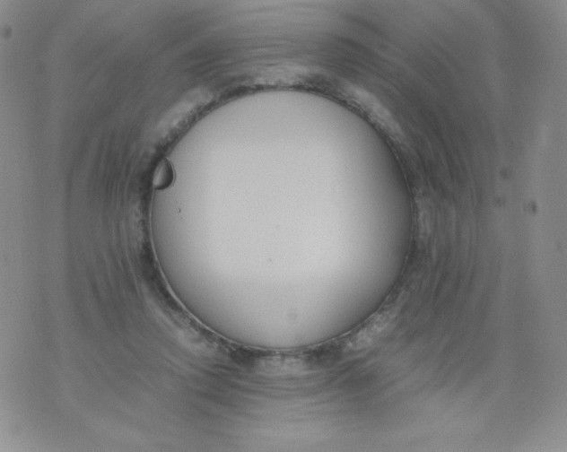 X0000070370354200606301902