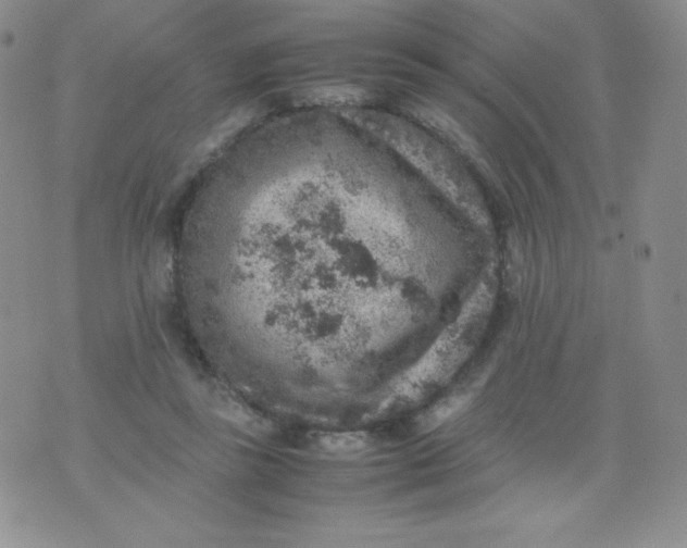 X0000070370355200606301902