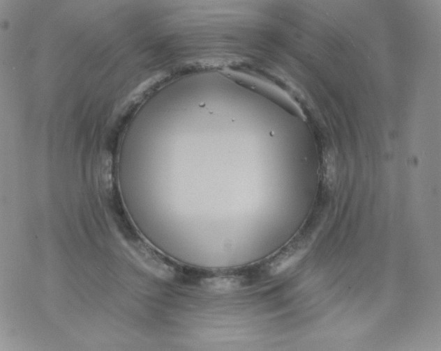 X0000070370356200606301902