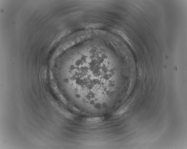 X0000070370357200606301902