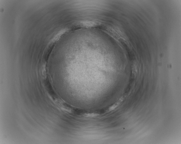 X0000070370360200606301902