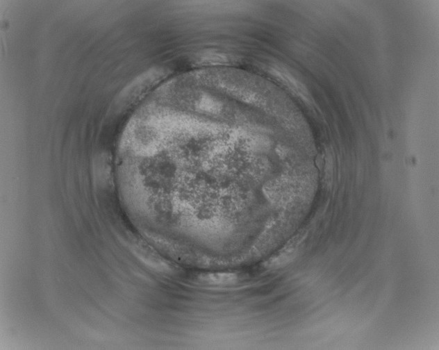 X0000070370361200606301902