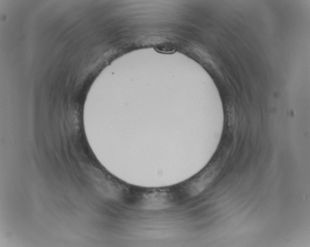 X0000070370362200606301902