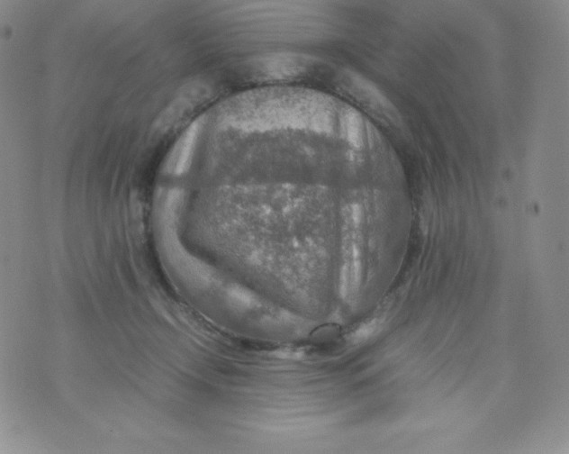 X0000070370366200606301902