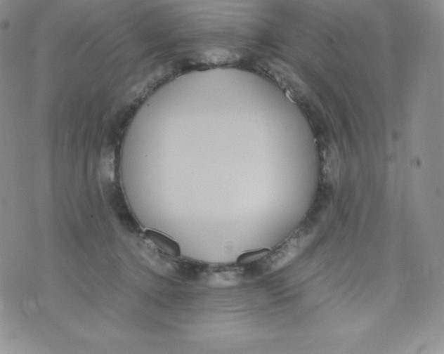 X0000070370368200606301902