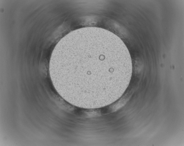 X0000070370370200606301902