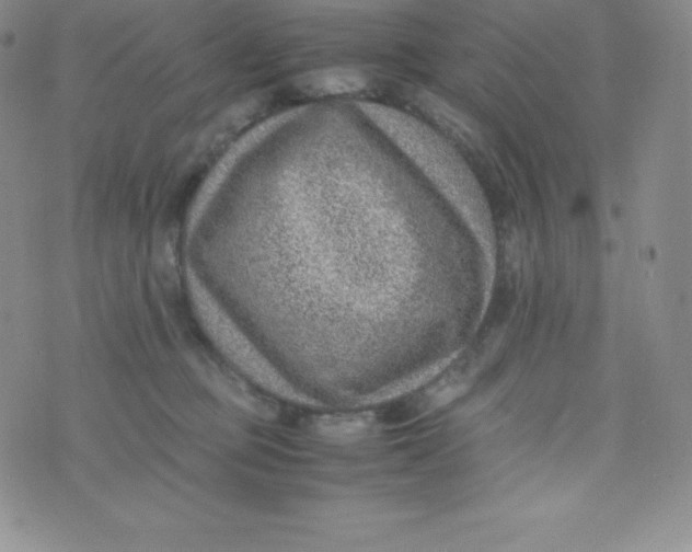 X0000070370373200606301902