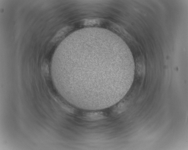 X0000070370375200606301902